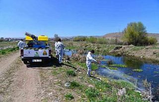 Pastırma sıcaklarında da haşere ve kötü kokuya...