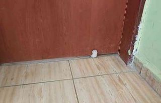 Patileriyle sınıfın kapısını açmak isteyen...