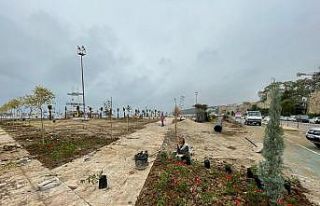 Peyzaj çalışmalarında sona gelindi