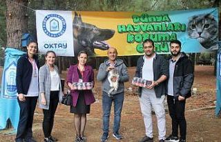 Plâstik kapaklar canlara ‘hayat’ oldu