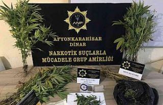 Polis eve yaptığı baskında kenevir ve esrar ele...