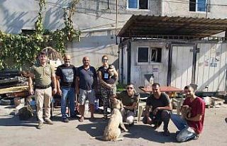 Polisten sokak hayvanlarına destek
