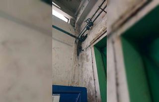 Polonya’da fabrikaya giren tilki duvarla boru arasına...