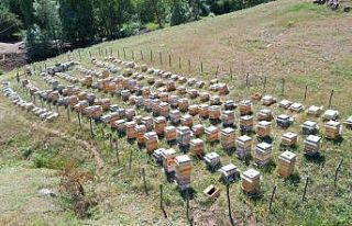 Proje meyvelerini verdi, ilk ürün alındı