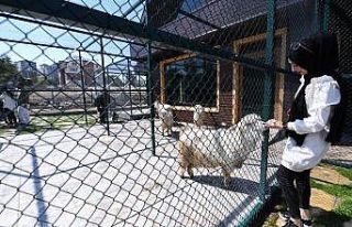 Pursaklar’ın yeni cazibe merkezi ‘‘Endemik...