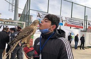 Rize’nin atmacacılık kültürü festivalle taçlandı