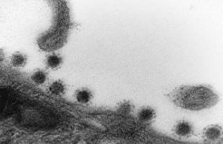 Rusya’da korona virüsün Delta Plus mutasyonu görüntülendi