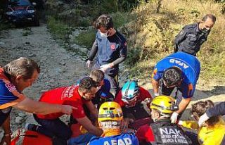 Sahibinin gezintiye çıkardığı köpek, kayıp...