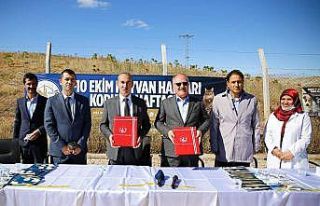 Sahiplenilen hayvanlar için Belediye - Üniversite...