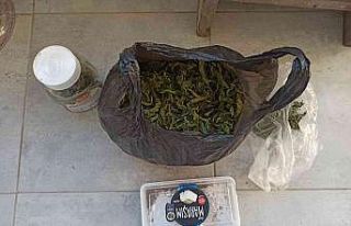 Sakarya’da 21 kilo 100 gram esrar yakalandı: 4...