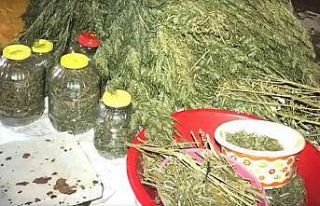 Samanlığa gizlenmiş uyuşturucu zulası böyle...