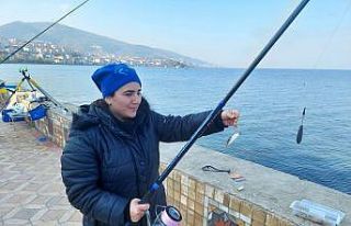 Sanayi ile anılan İzmit Körfezi adeta akvaryum...