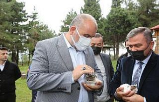 Sandıkçı: “Çocuklara hayvan sevgisi aşılayalım”