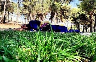 Şanlıurfa’da yürek yakan olay