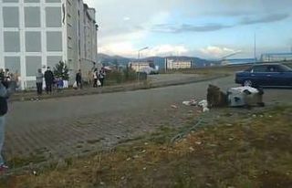 Sarıkamış’ta bozayı meraklılarından ’tehlikeli’...