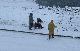 Sarıkamış’ta etkili olan kar yağışı şehir...
