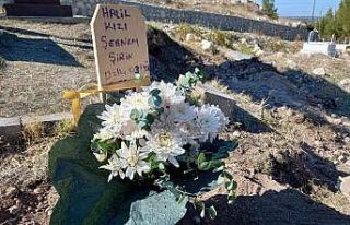 Şebnem’in gelin çiçeğini mezarına kondu