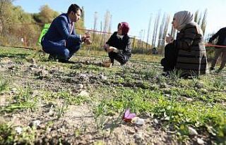 Seyitgazi kaymakamı Baytak ve Dr. Ayyıldız safran...