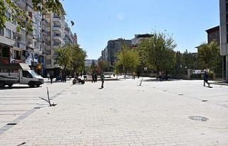 Siirt’te ağaçlandırma çalışmaları başladı