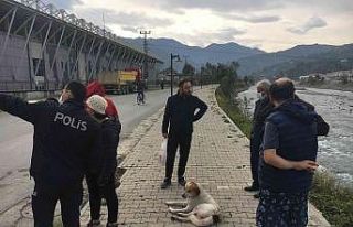 Silahla vurulan sokak köpeği için vatandaşlar...