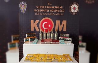 Silifke’de kaçakçılık operasyonu