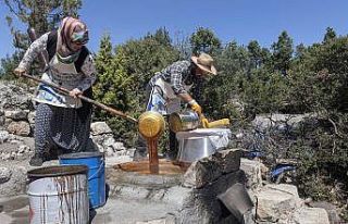 Silifkeli kadınlar, ürünlerini belediye desteği...