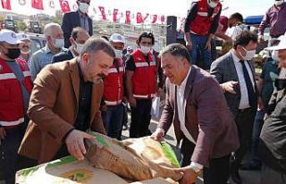 Sincan Belediyesi’nde çiftçilere yüzde 75 hibeli...