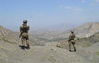 Şırnak’ta Besta operasyonu