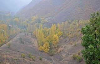 Şırnak’ta Karadeniz’i aratmayan manzara