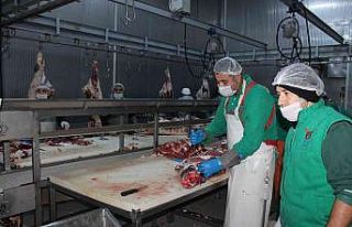 Sivas Et Kombinasında günlük 2,5 ton kavurma üretiliyor