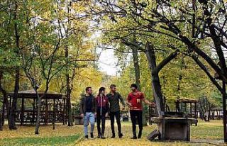 Sivas’ta kartpostallık Sonbahar görüntüleri...