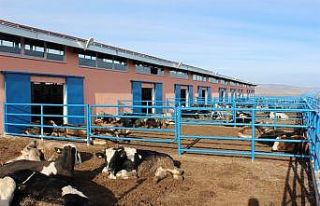 Sivas’ta TKDK sayesinde bin 250 proje hayat buldu