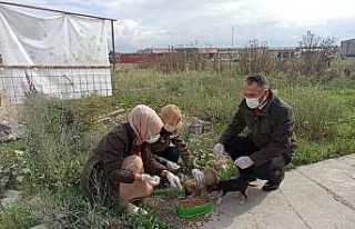 Sokak hayvanlarına mama bırakıldı