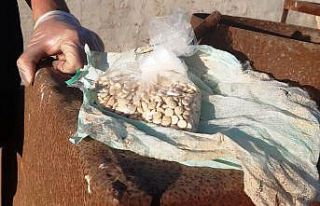 Sulama boruları içinde binlerce uyuşturucu hap...