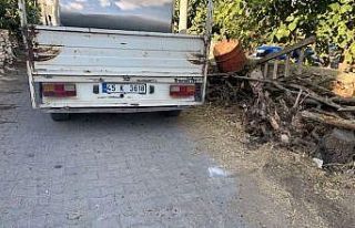 Süt kamyoneti yaşlı kadına çarptı: 1 yaralı