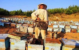 TAB Başkanı Ziya Şahin: “Arı yoksa tarım çöker”