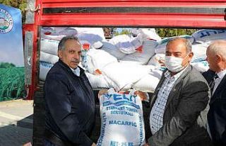 Talas Belediyesi’nden yem bitkisi tohumu