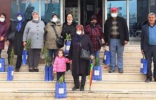 Tapuya gidene fidan hediye