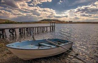 Tarihi Kuş Cenneti Hafik Gölü, doğaseverlerin...