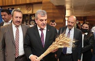 Tarımsal hizmetler daire başkanlığı istişare...