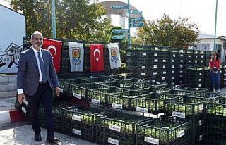 Tarsus Belediyesi, çiftçilere 500 bin adet karnabahar,...