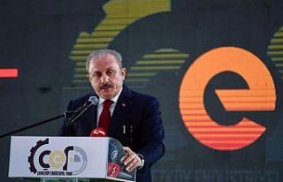 TBMM Başkanı Şentop: “Türk firmaları rakip...
