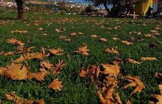 Tekirdağ’da Sonbahar güzelliği: Sahil alanda...