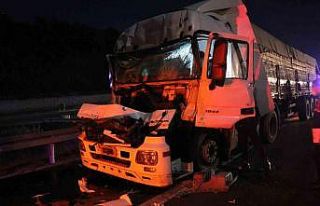 TEM Otoyolu’nda kamyona çarpan tırın sürücüsü...