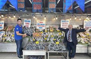 Tezgahlarda hamsinin kilogramı 10 liraya kadar düştü