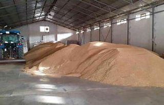 TMO, Osmancık’da çeltik alımına başladı