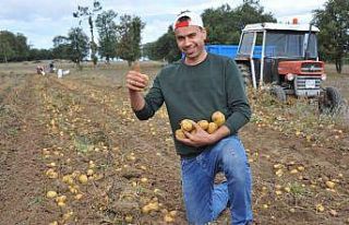 Tohum desteği meyvelerini verdi