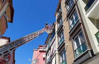 Tokat’ta kumru kurtarma operasyonu