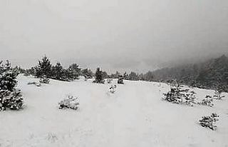 Tokat’ta yaylalar beyaz örtü ile kaplandı
