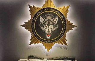 Torbacılara operasyon: 1 tutuklama